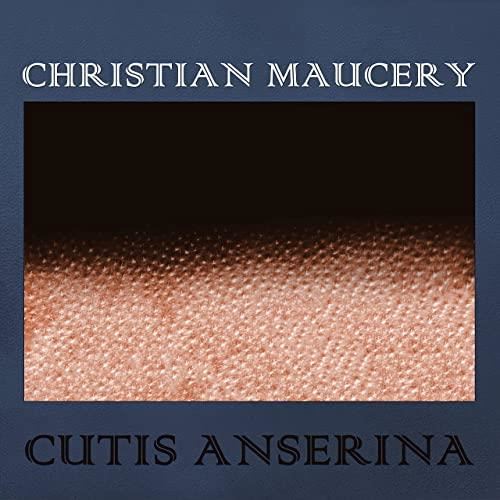 Cutis anserina