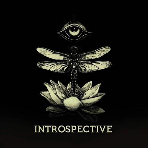 Introspective