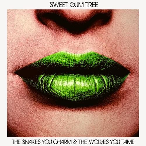 The snakes you charm & the wolves you tame (CD)
